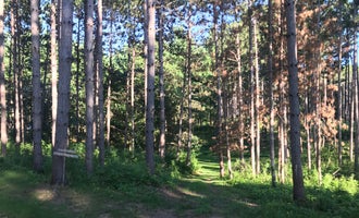 Camping near Willow River State Park Campground: Lily Springs Regenerative Farm, Dresser, Wisconsin