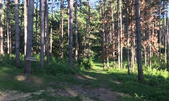 Camping near River's Edge Campground: Lily Springs Regenerative Farm, Dresser, Wisconsin
