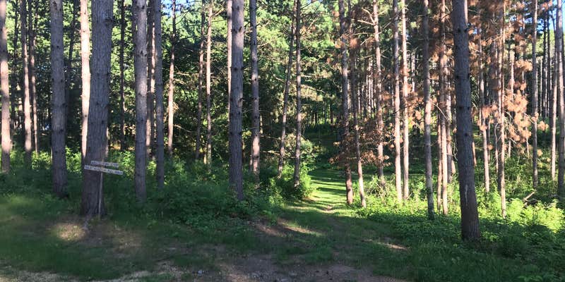 Camper submitted image from Lily Springs Regenerative Farm