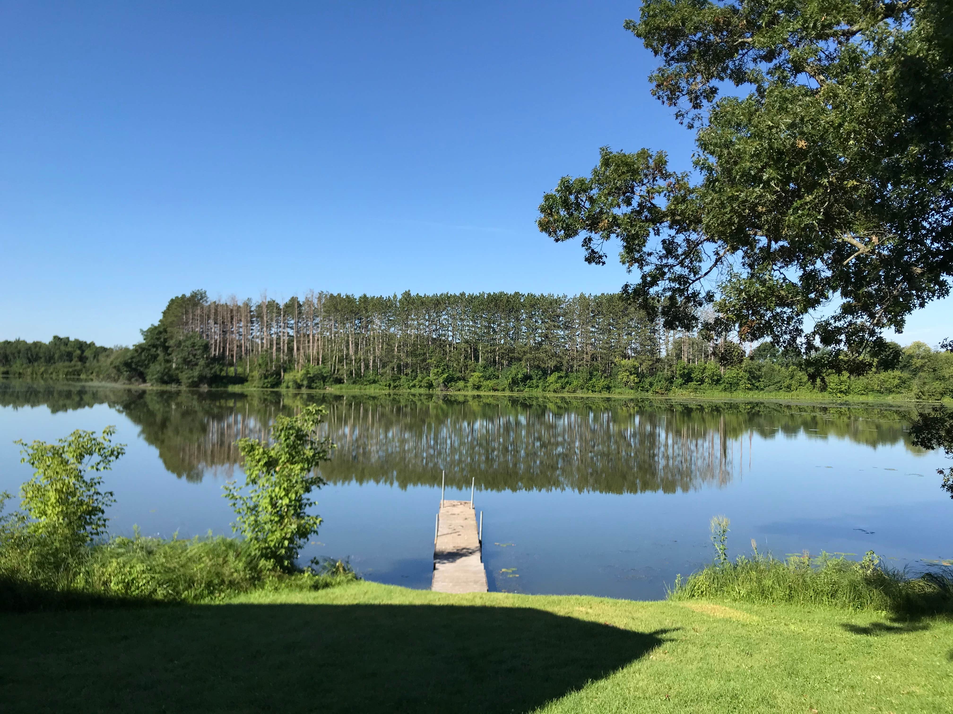 Camper-submitted photo at Lily Springs Regenerative Farm near Luck, WI