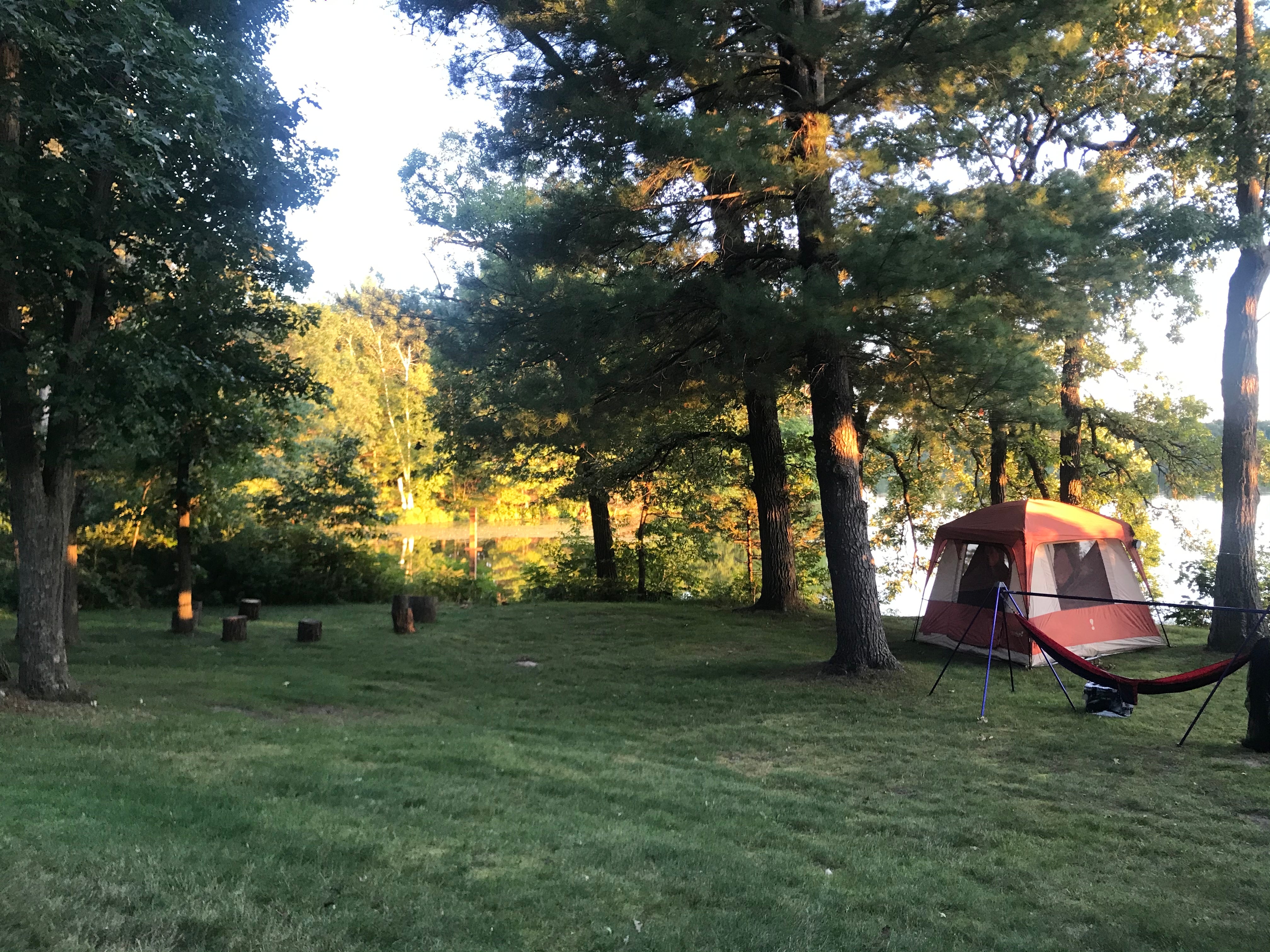 Camper submitted image from Lily Springs Regenerative Farm - 4