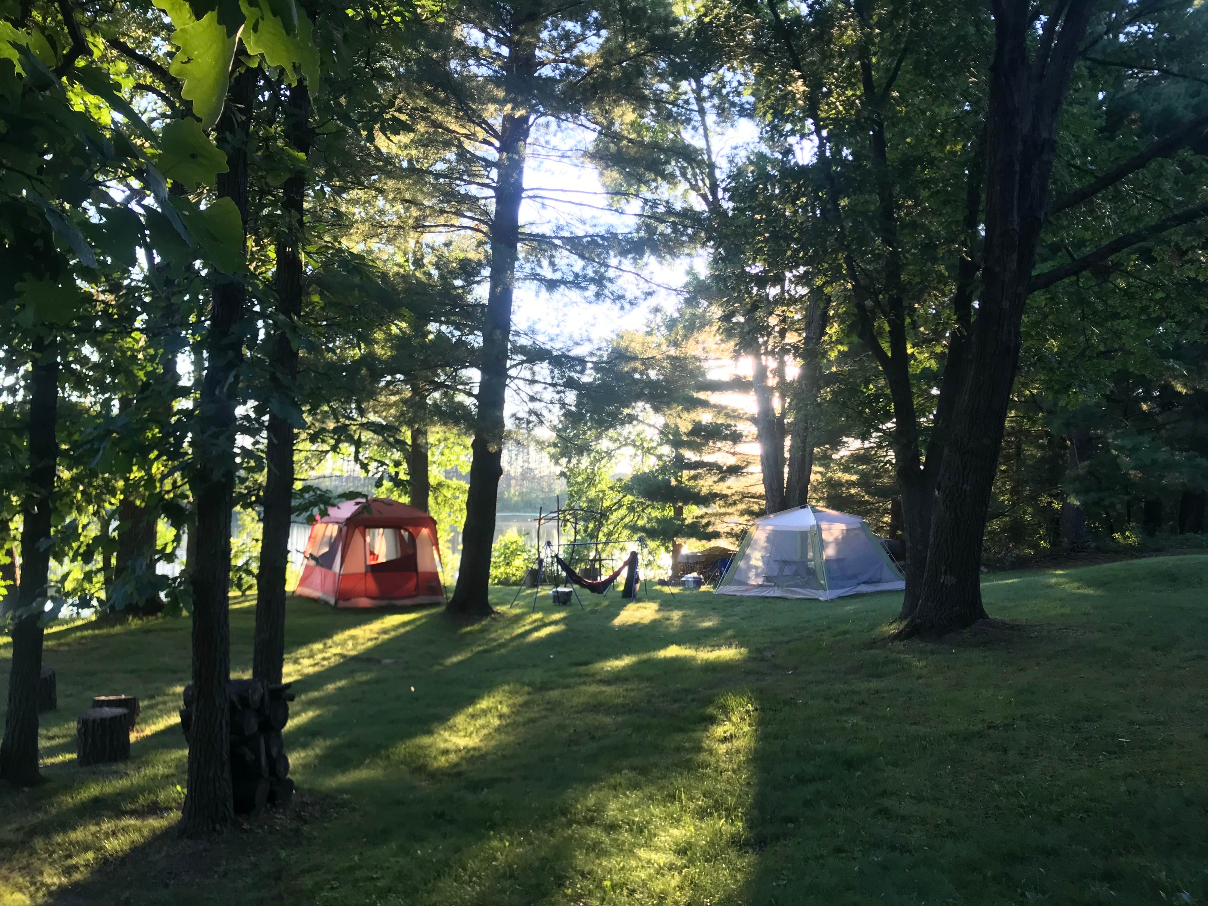 Camper-submitted photo at Lily Springs Regenerative Farm near Luck, WI