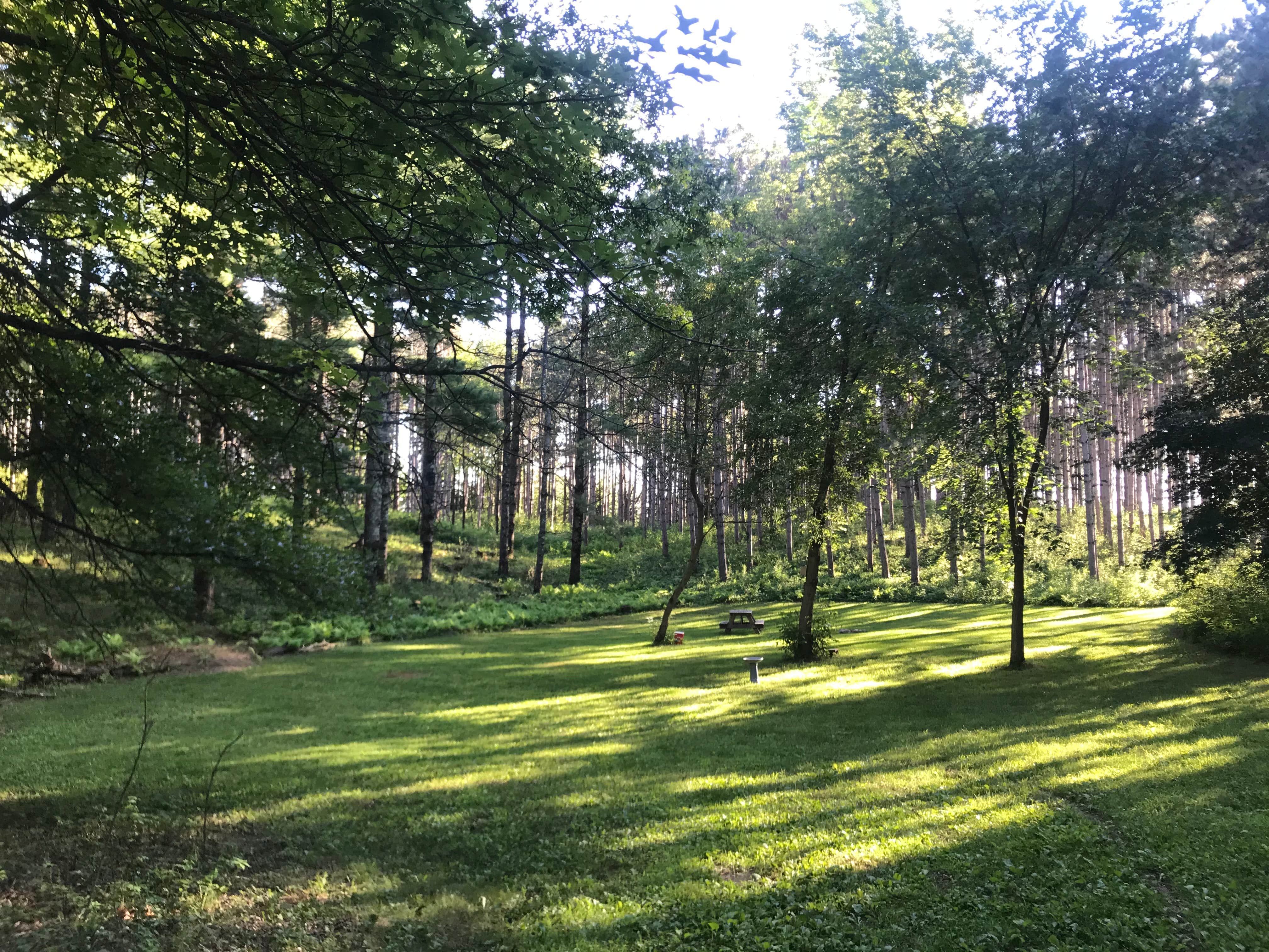 Camper-submitted photo at Lily Springs Regenerative Farm near Luck, WI