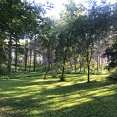 Review photo of Lily Springs Regenerative Farm by Krista T., September 16, 2020