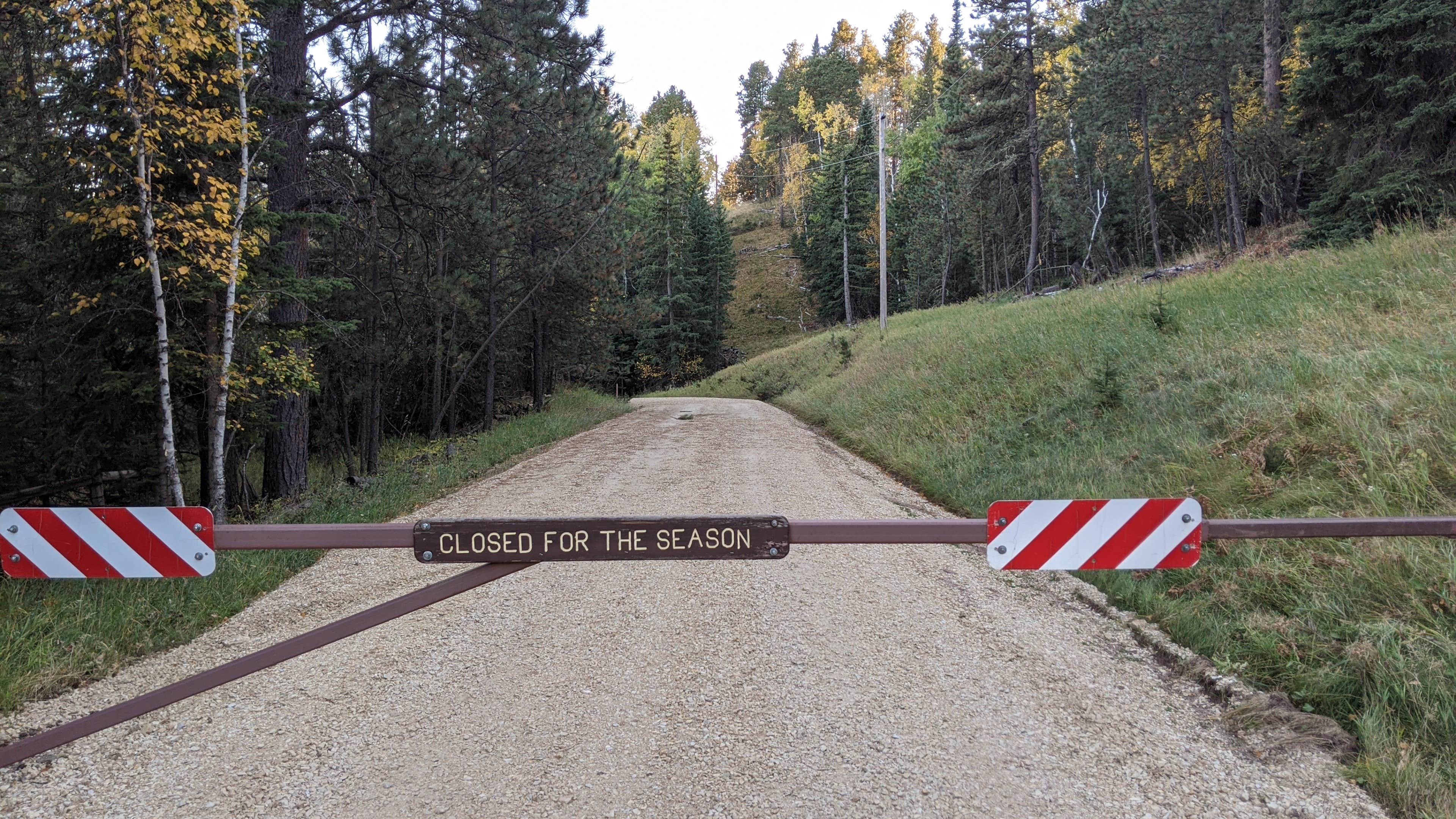 Camping near Steel Wheel Campground: Strawberry Hill, Lead, South Dakota