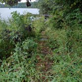 Review photo of Rock Cut State Park - Staghorn Campground by Debra M., October 1, 2020