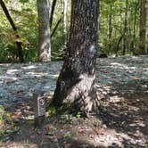 Review photo of Table Rock State Park Campground by L O., September 28, 2020