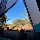 Review photo of Wingate Campground — Dead Horse Point State Park by Nicole B., October 1, 2020