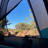 Review photo of Wingate Campground — Dead Horse Point State Park by Nicole B., October 1, 2020