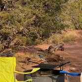 Review photo of Wingate Campground — Dead Horse Point State Park by Nicole B., October 1, 2020