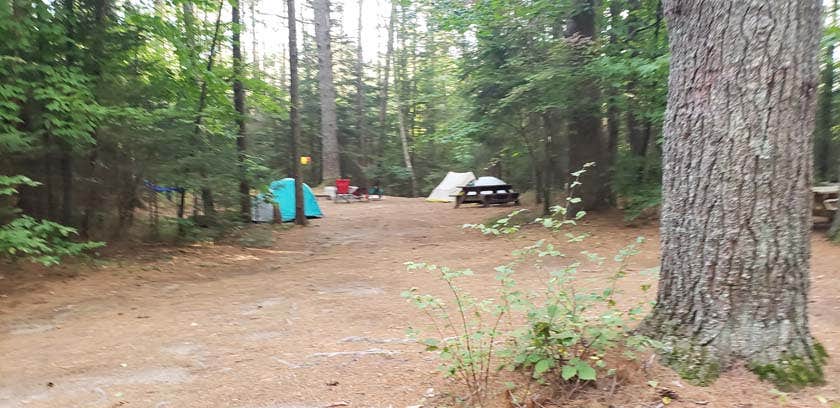 Jean C.'s photo at Meadowbrook Campground near Ray Brook, NY