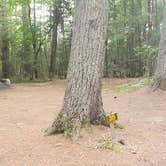 Review photo of Meadowbrook Campground by Jean C., October 1, 2020