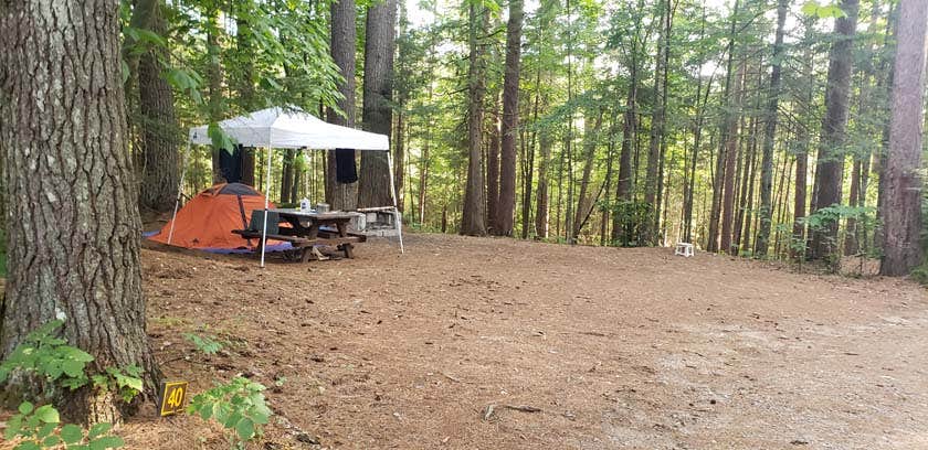 Jean C.'s photo at Meadowbrook Campground near Loon Lake, NY
