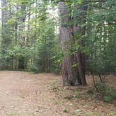 Review photo of Meadowbrook Campground by Jean C., October 1, 2020