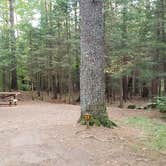 Review photo of Meadowbrook Campground by Jean C., October 1, 2020