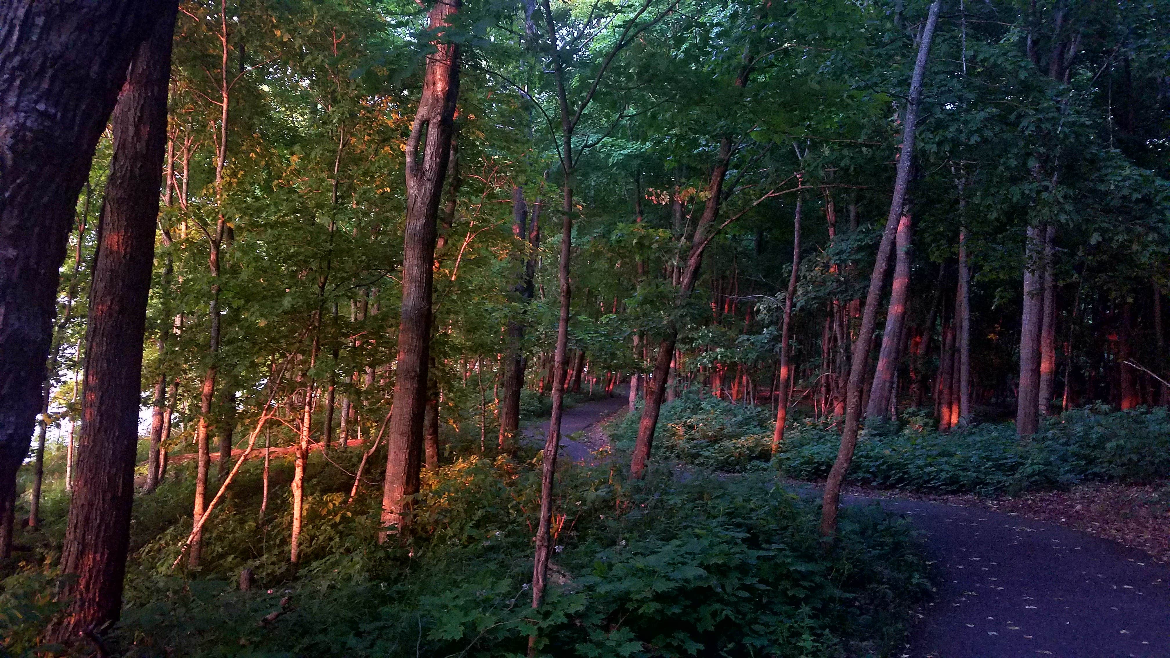 Camper-submitted photo at Father Hennepin State Park Campground near Pine City, MN