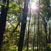 Review photo of Nerstrand Big Woods State Park Campground by Andrea S., May 19, 2018