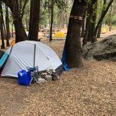 Review photo of Camp 4 — Yosemite National Park by Andrew P., May 19, 2018