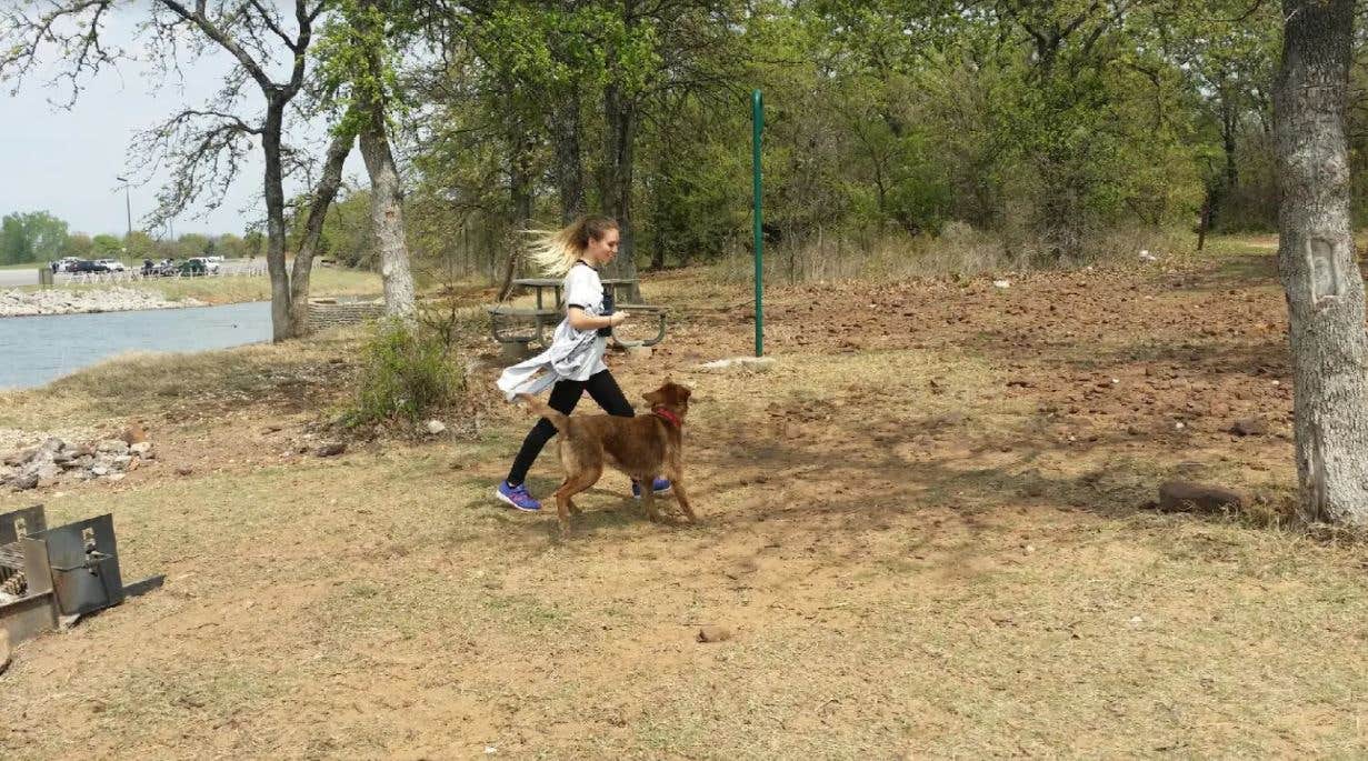 David K.'s photo of camping with pets at Isle du Bois Campsites — Ray Roberts Lake State Park near Lewisville, TX