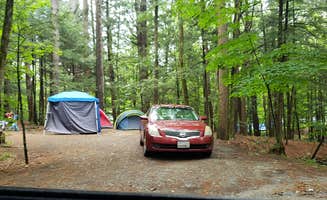Jean C.'s photo at Rogers Rock Campground near Clemons, NY