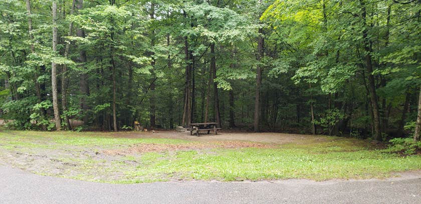 Camper-submitted photo at Rogers Rock Campground near Killington, VT