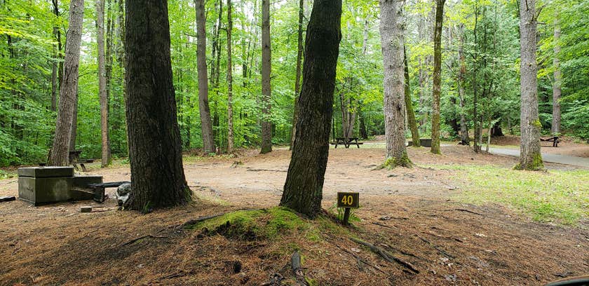 Rogers Rock Campground