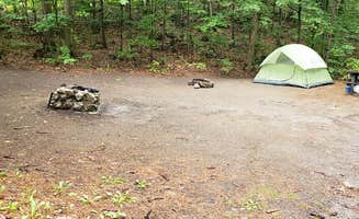 Jean C.'s photo at Rogers Rock Campground near Benson, VT