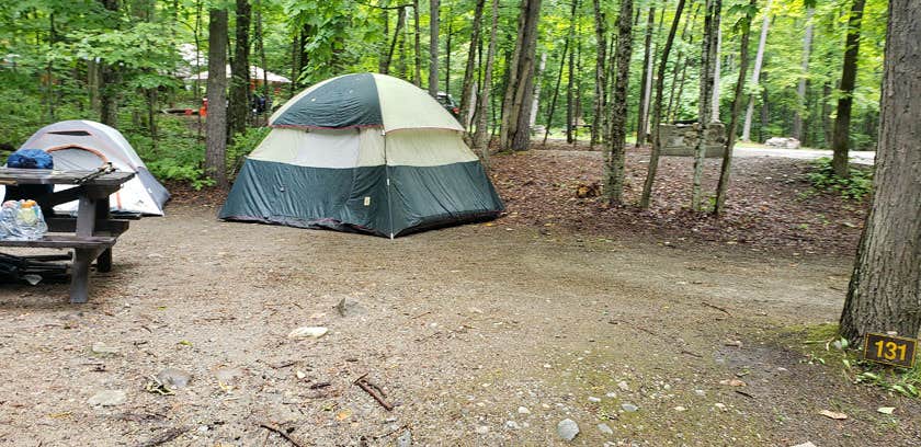Jean C.'s photo at Rogers Rock Campground near Orwell, VT