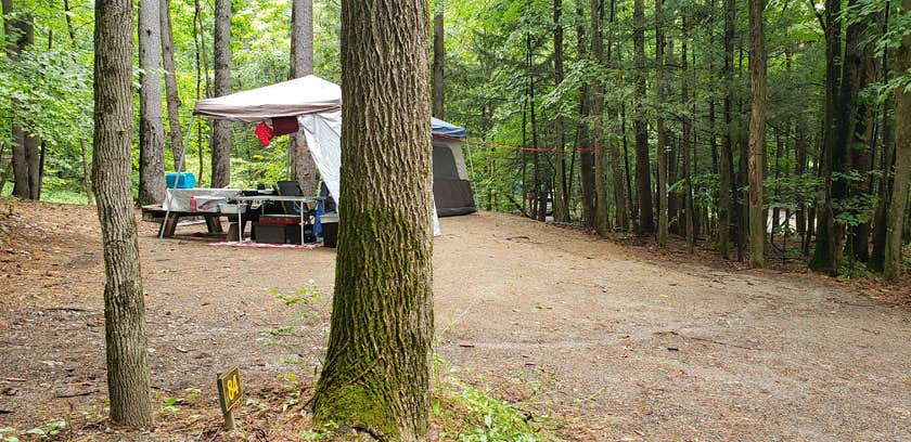 Jean C.'s photo at Rogers Rock Campground near Castleton, VT
