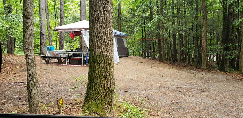 Jean C.'s photo at Rogers Rock Campground near Huletts Landing, NY