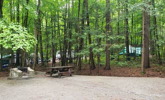 Camping near Half Moon Pond State Park Campground: Rogers Rock - DEC, Hague, New York