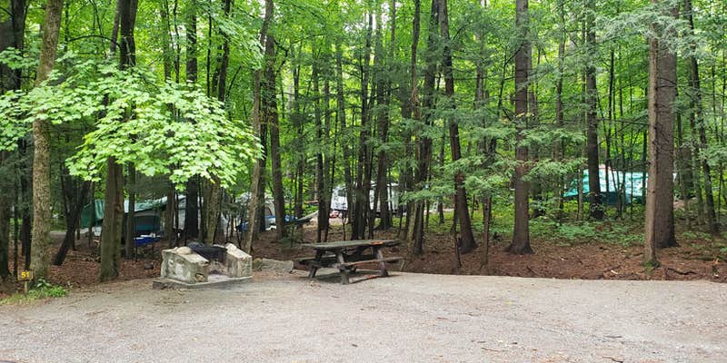 Camper submitted image from Rogers Rock Campground