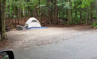 Jean C.'s photo at Rogers Rock Campground near Huletts Landing, NY