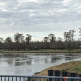 Review photo of Bayou Segnette State Park Campground by Freida B., May 19, 2018