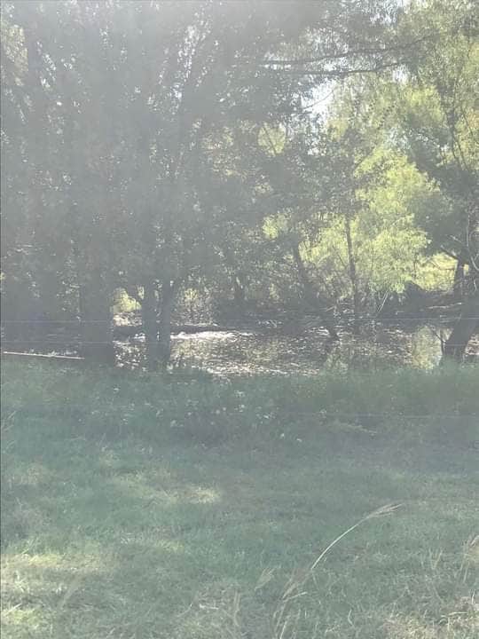 Camping near Lake Life RV Resort LLC: Lees Country Campground, Newark, Texas