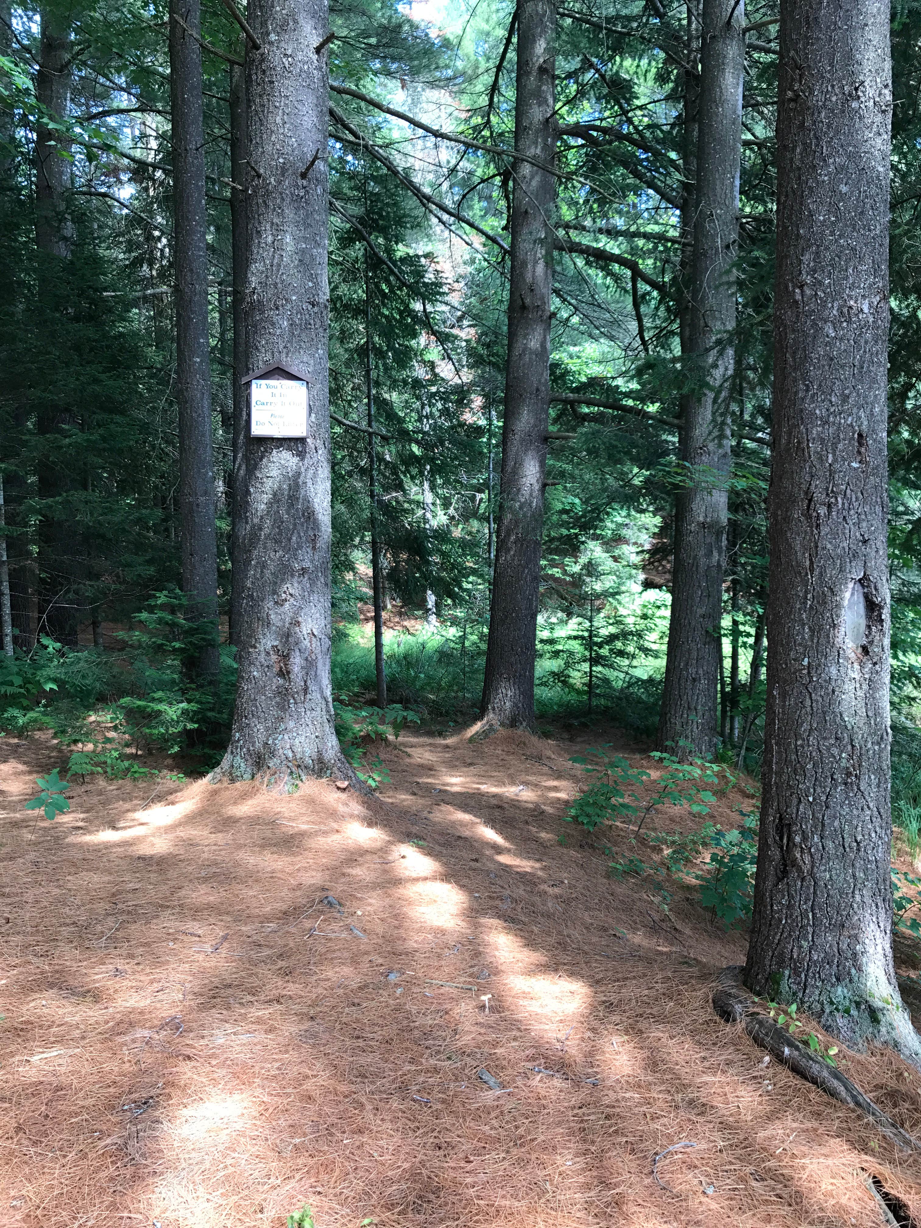 Nature
