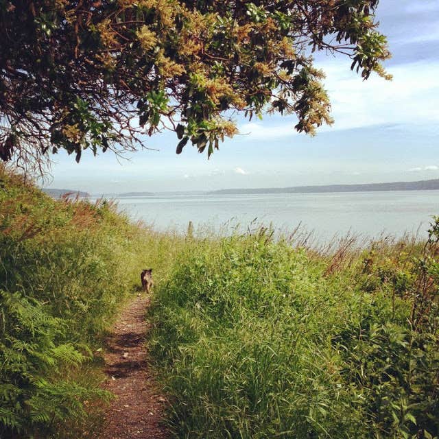 Camper-submitted photo at Camano Island State Park Campground near Marysville, WA
