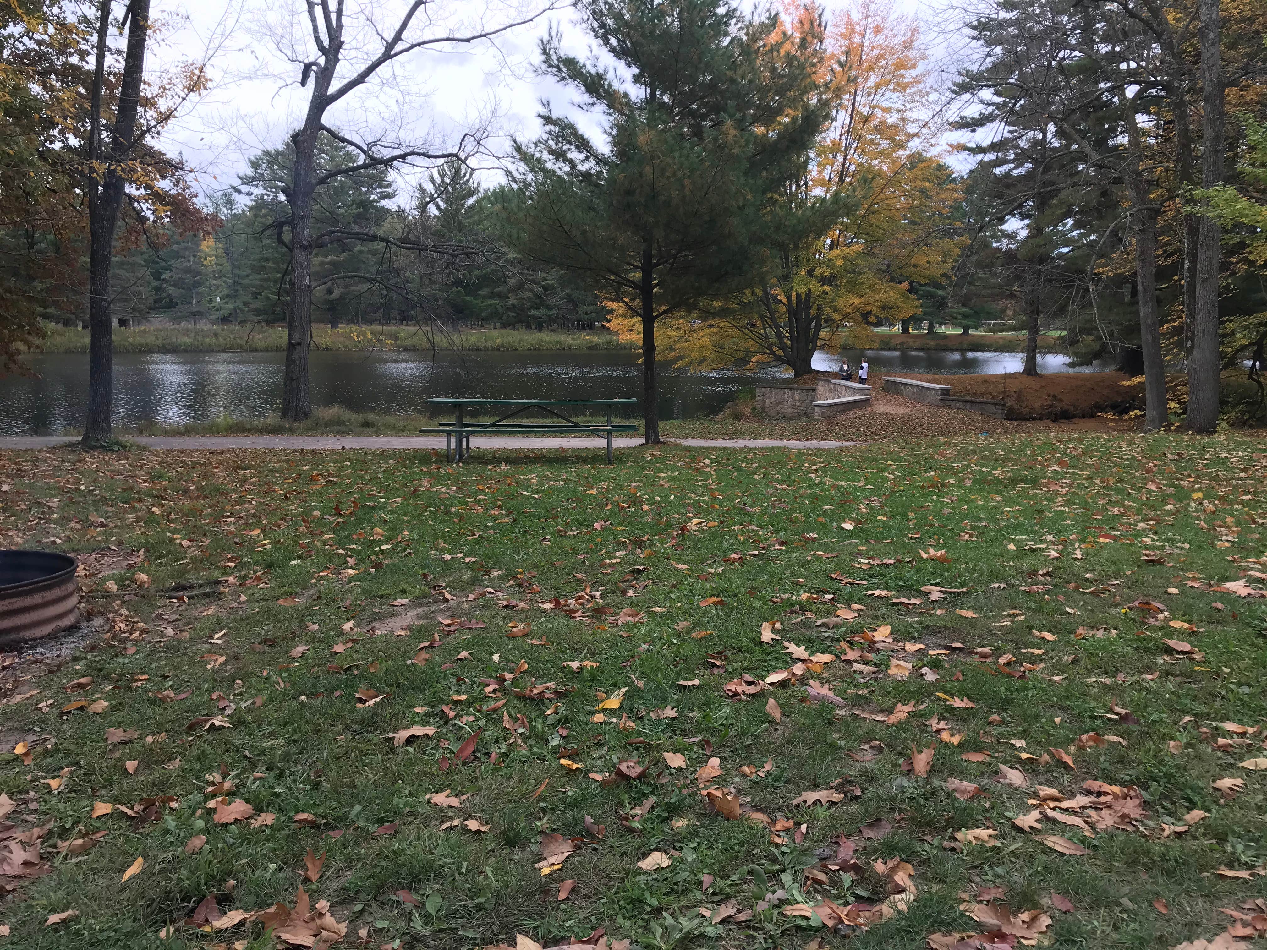 Camper-submitted photo at North Wood County Park near Pittsville, WI