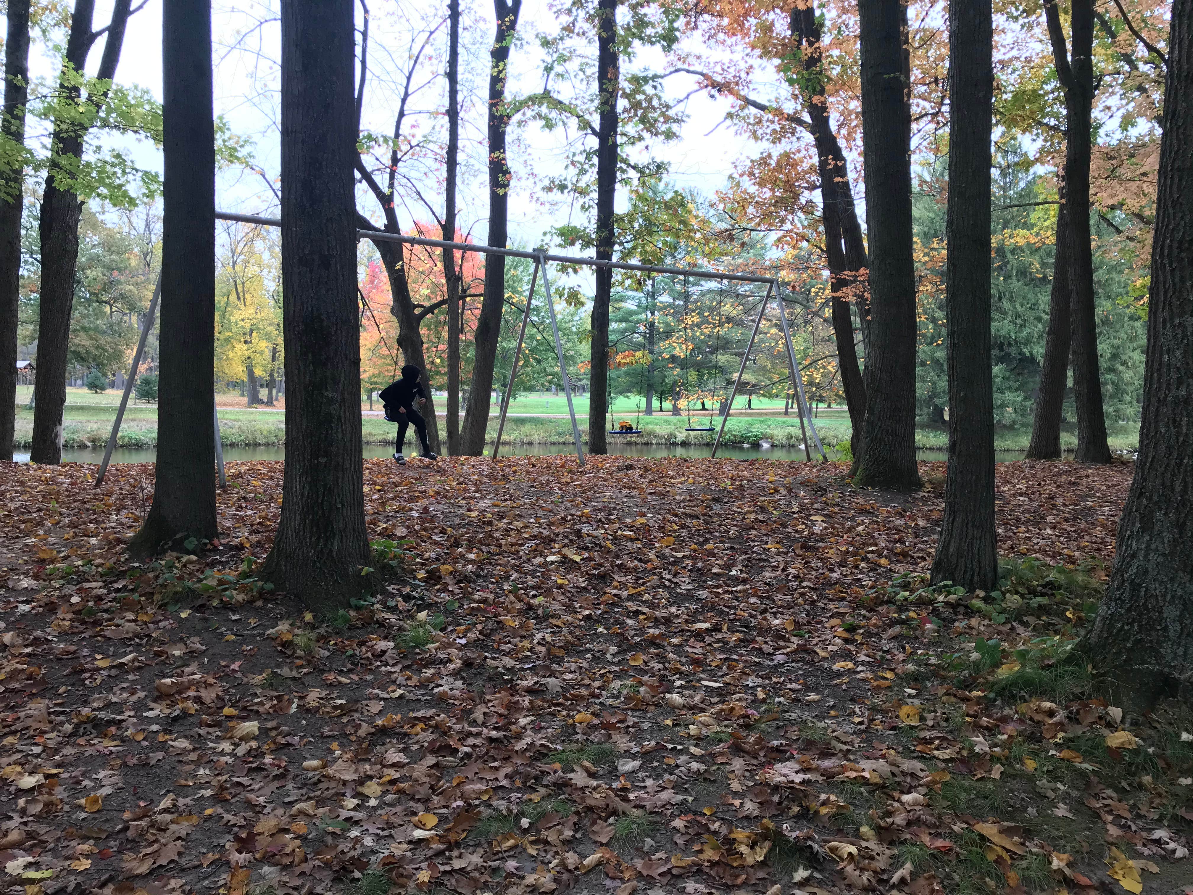 Camper-submitted photo at North Wood County Park near Pittsville, WI