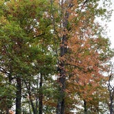 Review photo of North Wood County Park by Jeff S., October 1, 2020