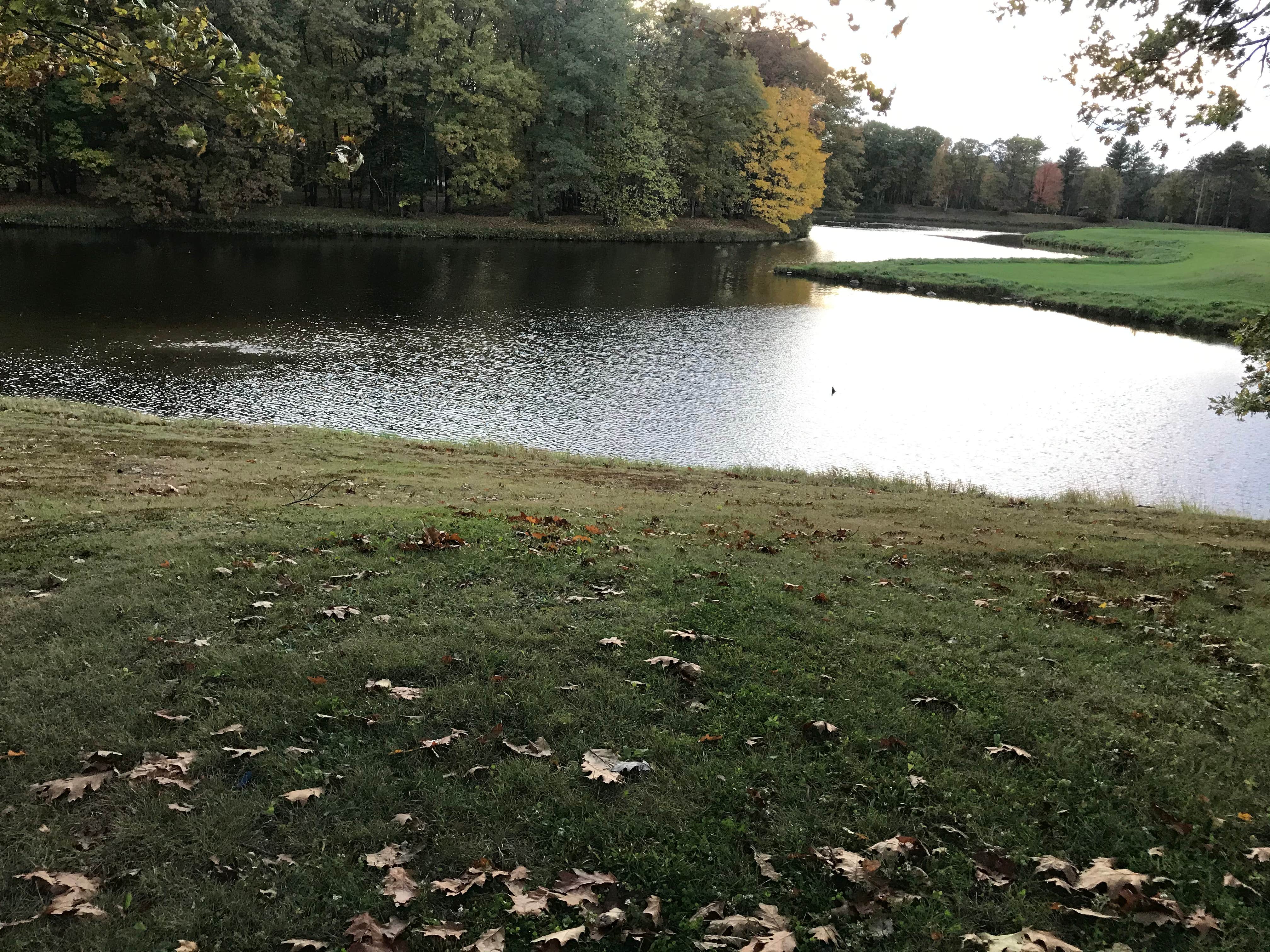 Camping near Big Eau Pleine Park Campground: North Wood County Park, Pittsville, Wisconsin