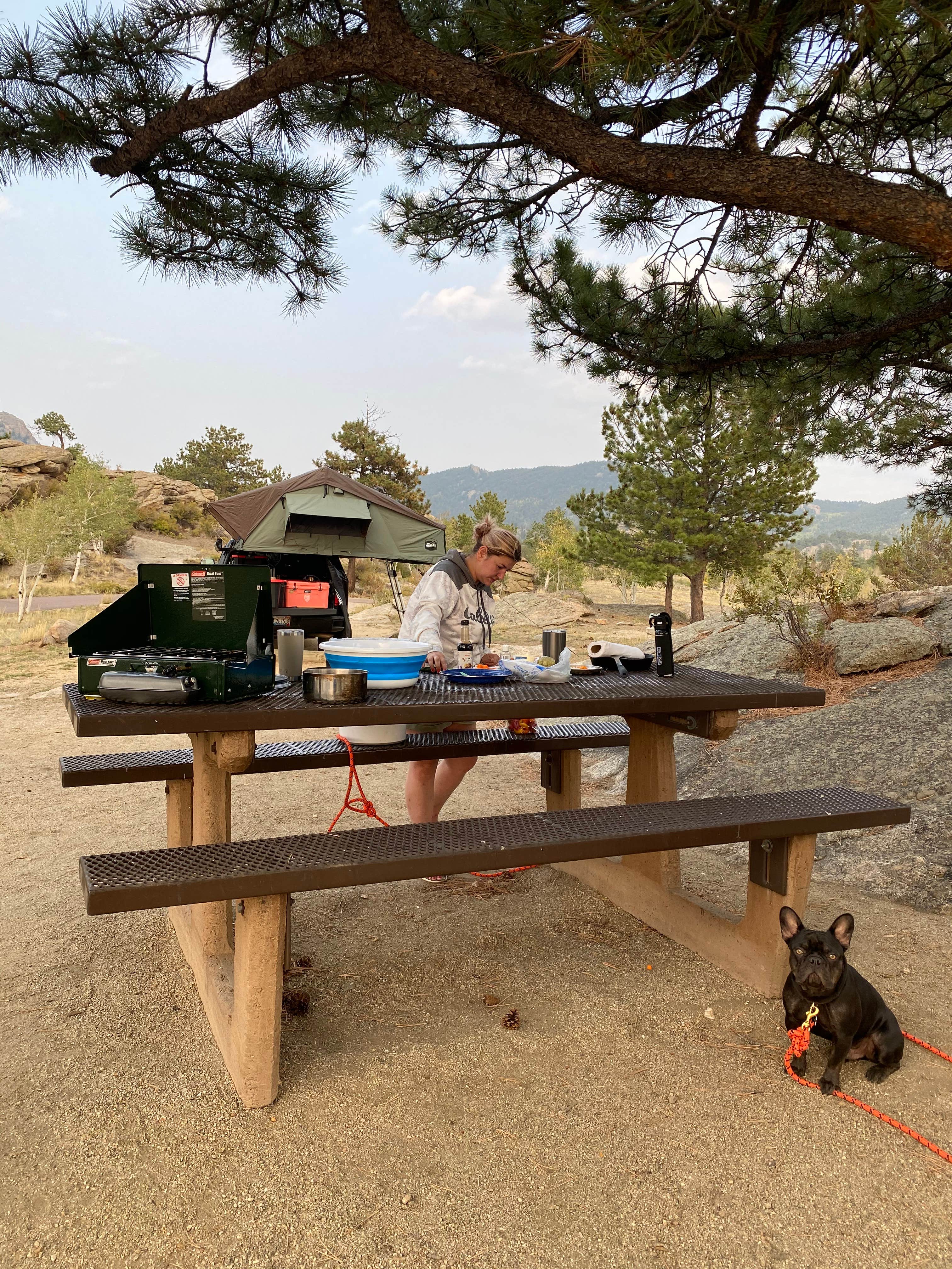 Sandra&Dunn's photo of camping with pets at Stoll Mountain Campground — Eleven Mile State Park near Guffey, CO