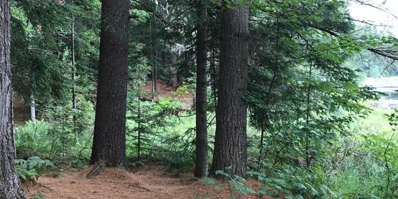 Camper submitted image from Sunday Lake Dispersed Camping