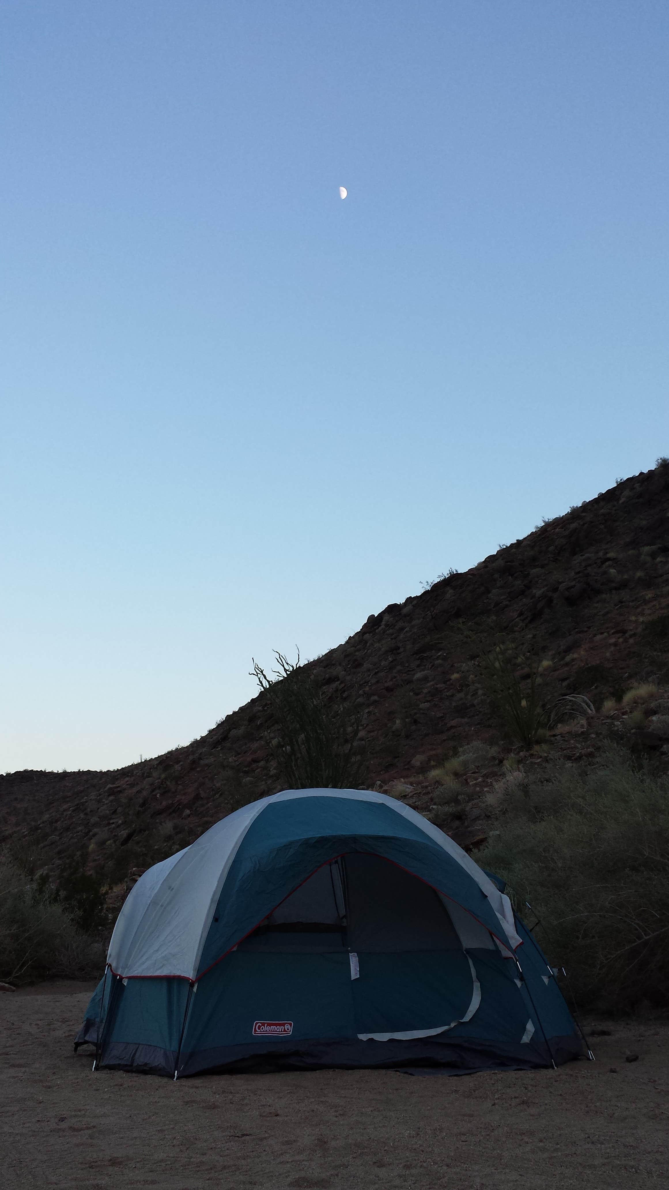 Heather O.'s photo at Borrego Palm Canyon Campground — Anza-Borrego Desert State Park near San Ysidro, CA