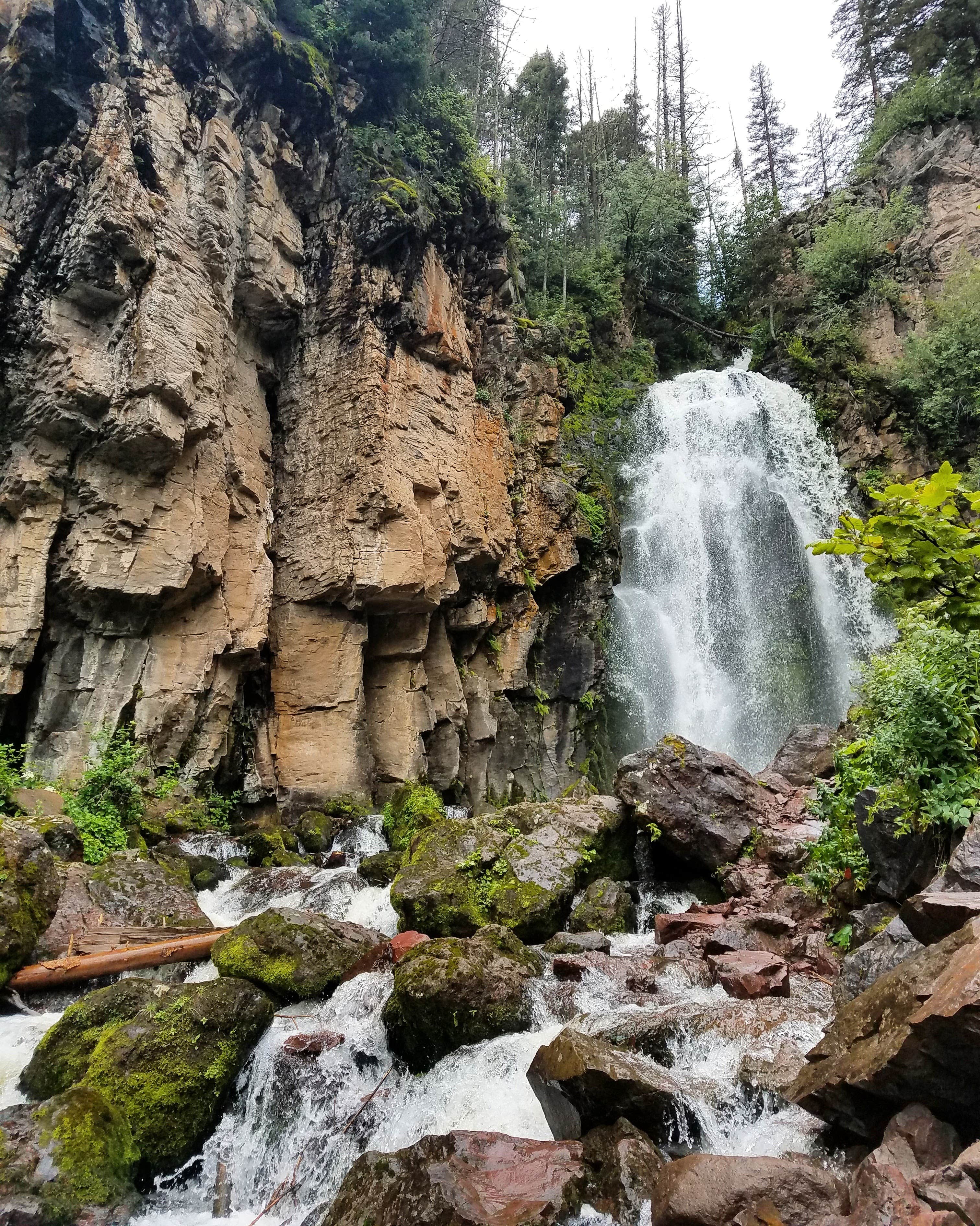 Camper submitted image from Elk Creek Campground (rio Grande Nf) - 2