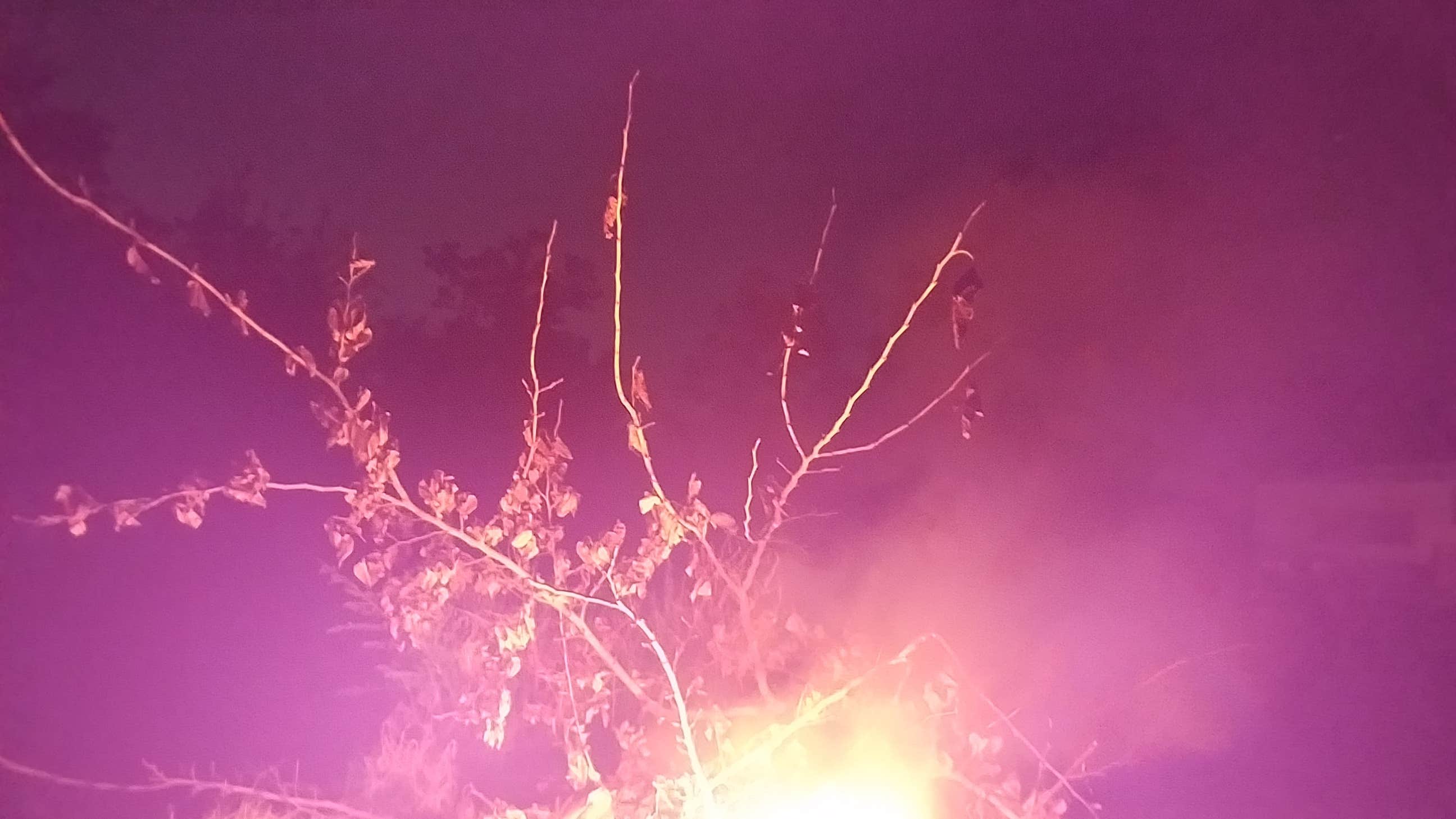 Camper-submitted photo at Belton Lakeview Park near Cordell Hull Lake