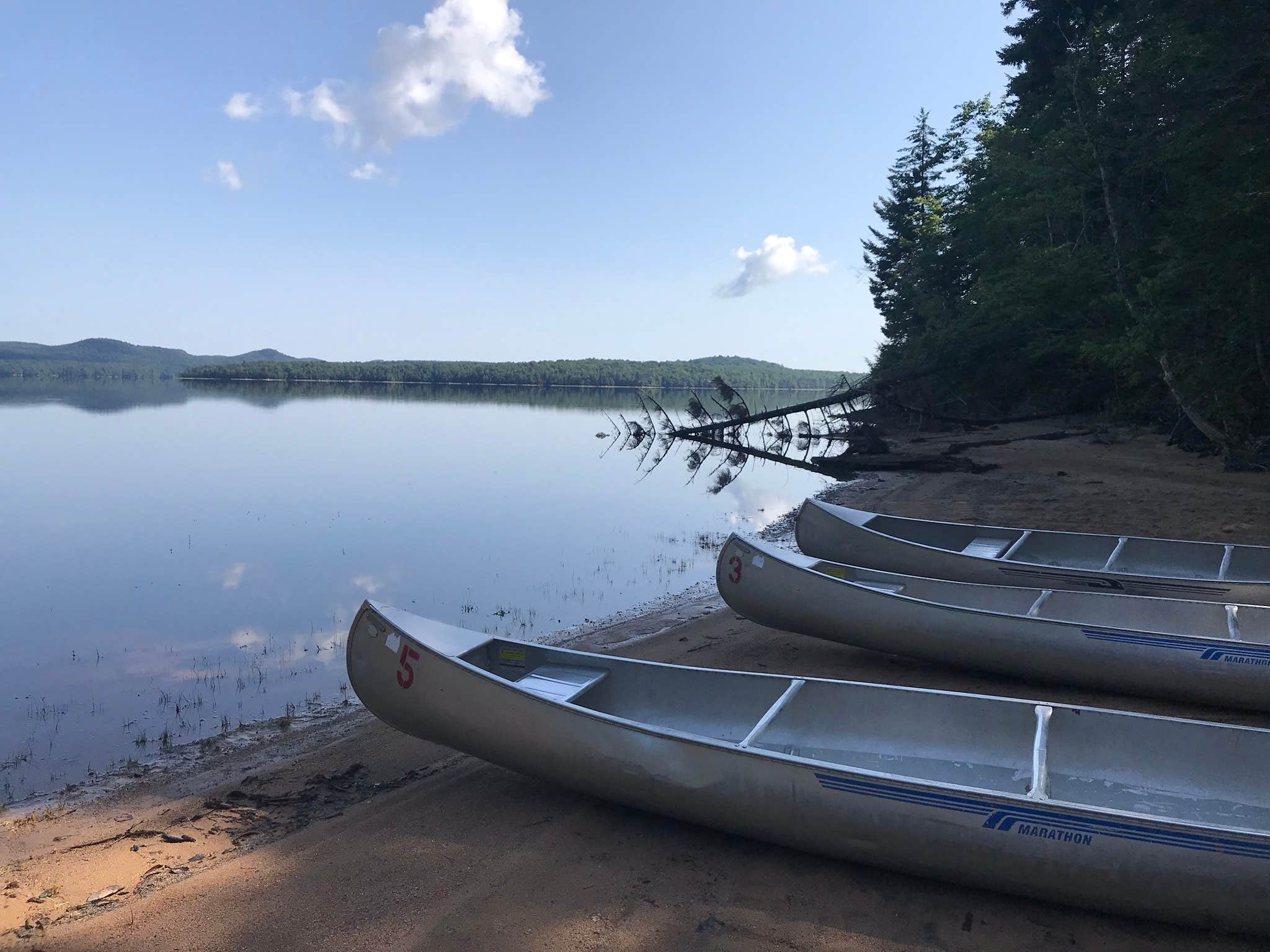 Camper submitted image from Blue Lagoon Primitive Dispersed Camping - 3