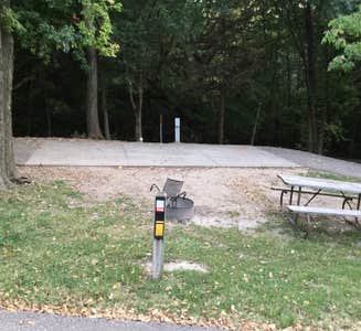 Camper-submitted photo from Hickory Hollow — Milford State Park