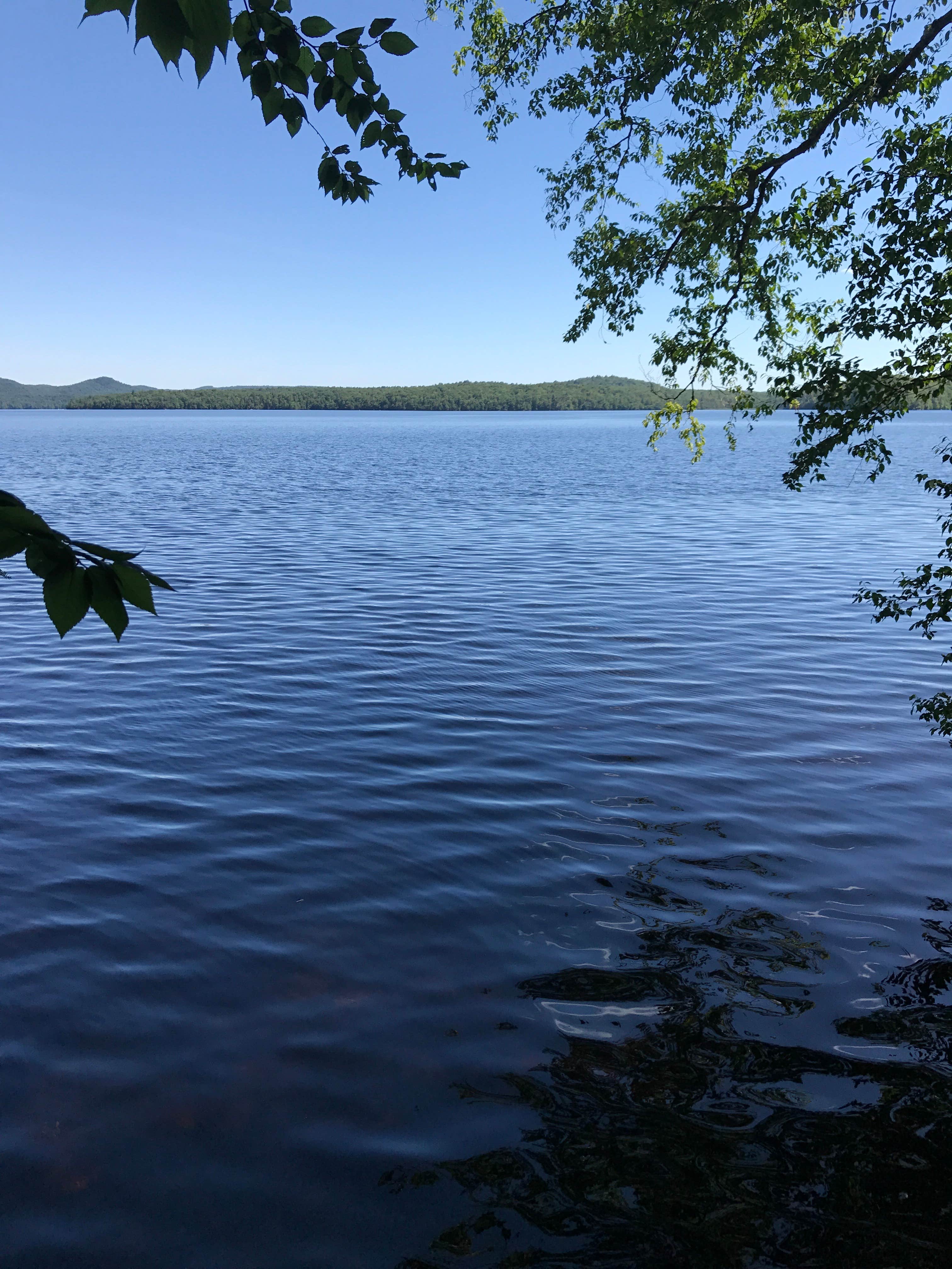 Elizabeth B.'s photo of a dispersed camping area at Blue Lagoon Primitive Dispersed Camping near Piseco, NY