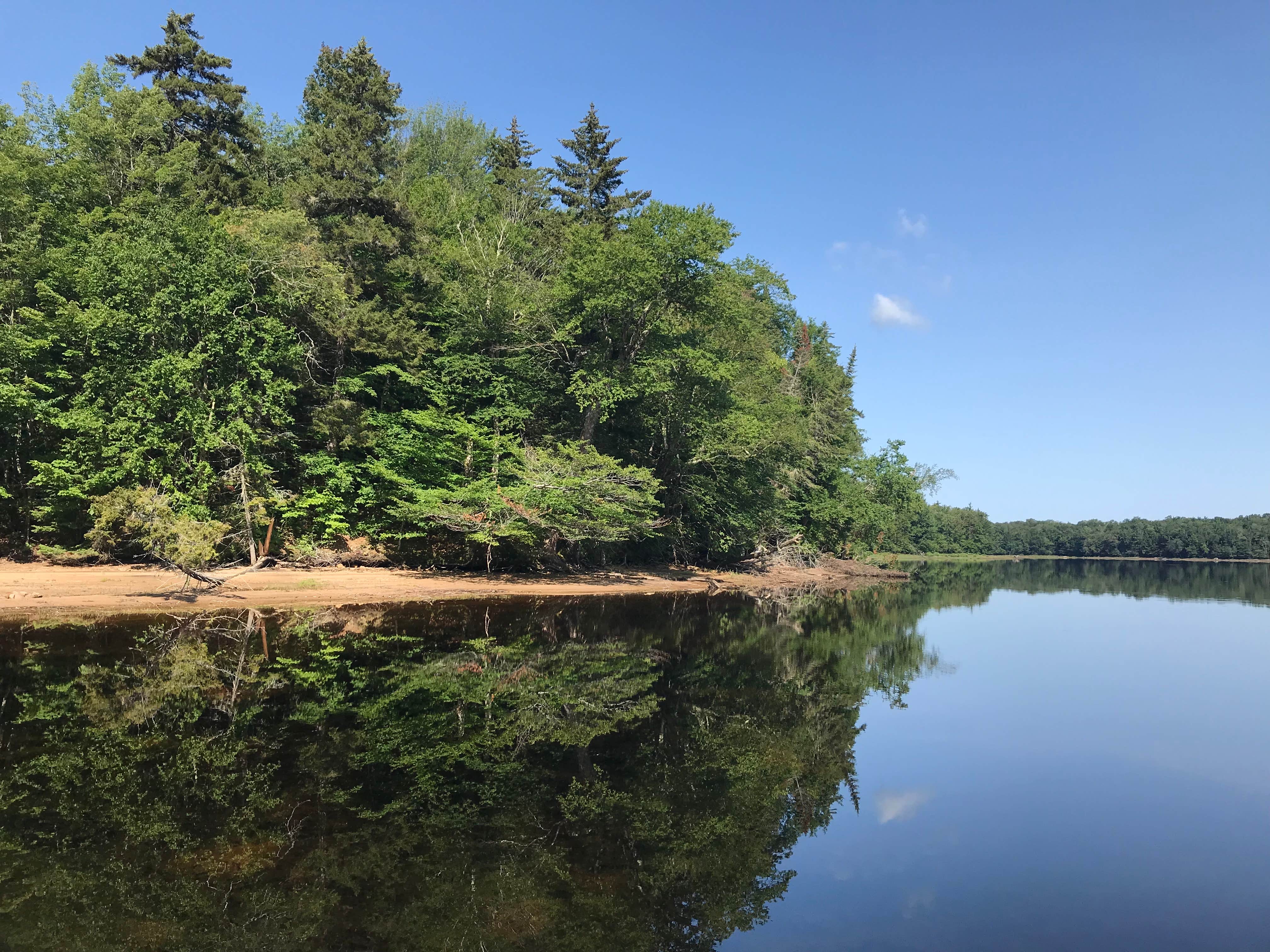 Camper submitted image from Blue Lagoon Primitive Dispersed Camping - 1